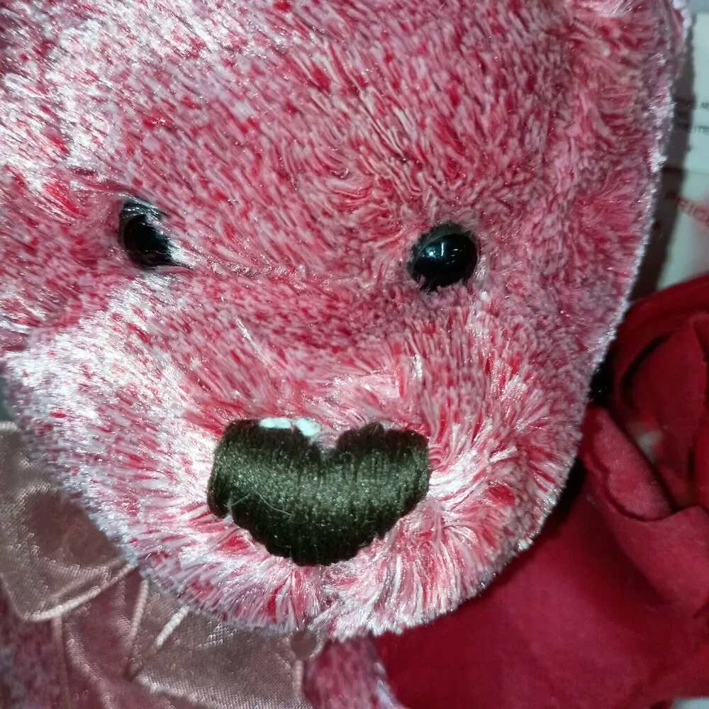READ Dan Dee Valentines Day Gift Teddy Bear Holding Red Rose Plush 7” Present
